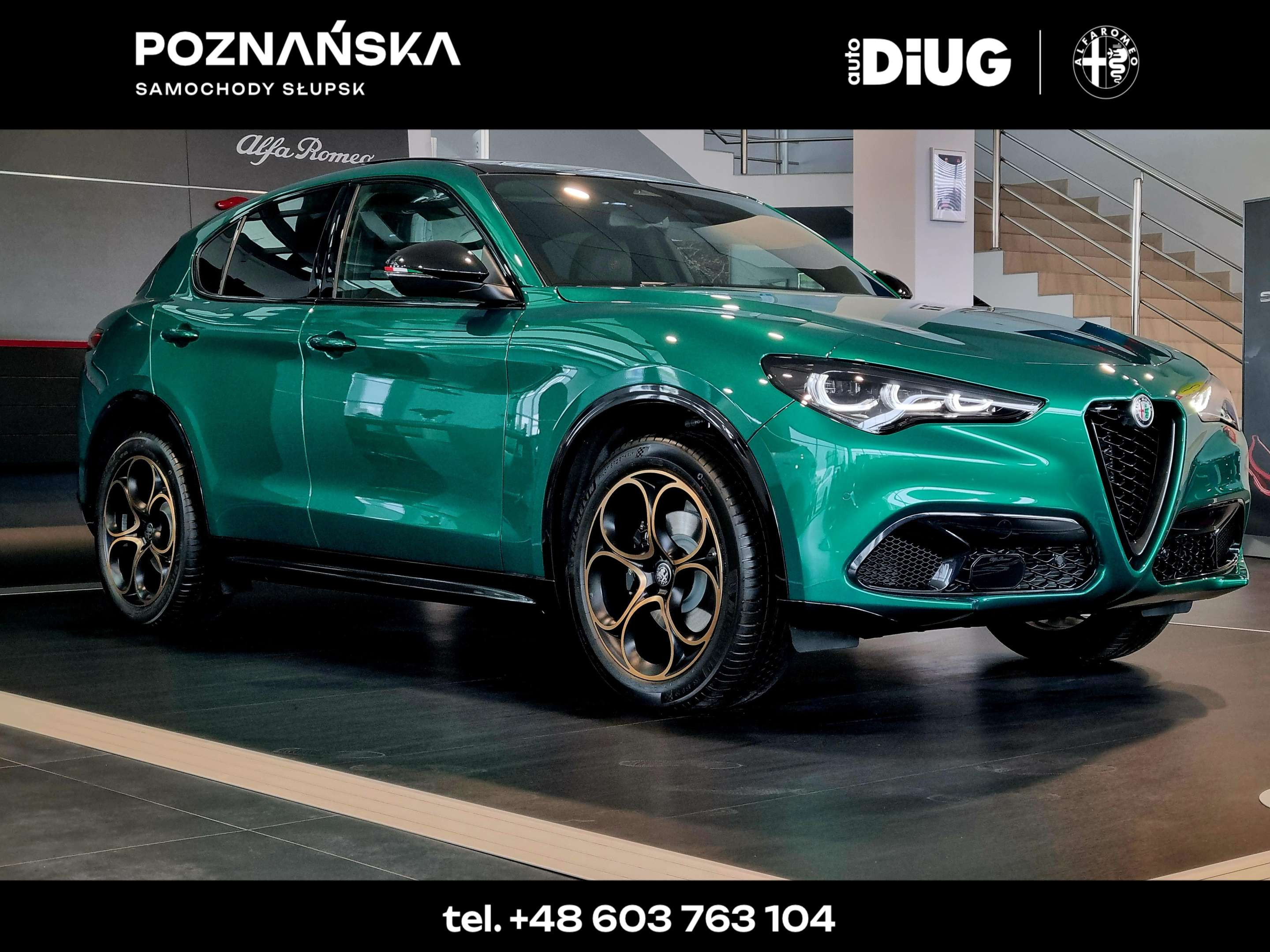 Alfa Romeo Stelvio MY24 INTENSA 2.0 GME 280 KM AT8 AWD - Samochód ...
